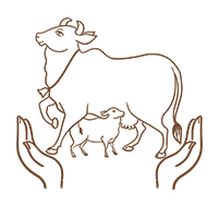 Recommendations Image 3