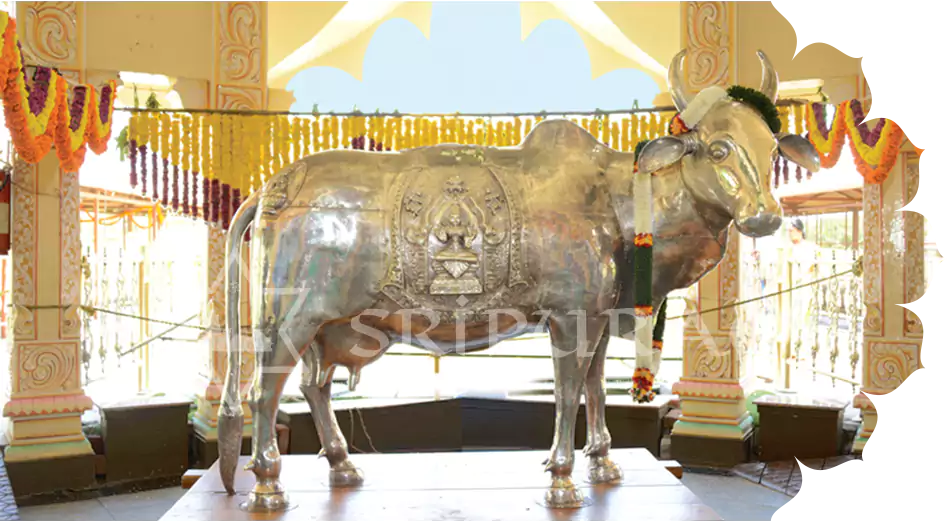 Sri Kamadhenu